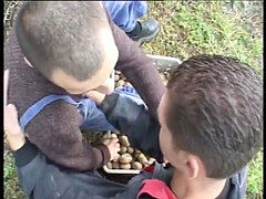 Enthousiasteling, Anaal, Homo