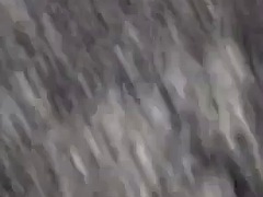 Amateur, Noire, Collège université, Noir ébène, Partouze, Pov, Nénés