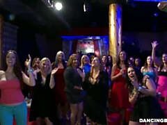 Dancing Bear - strip porn