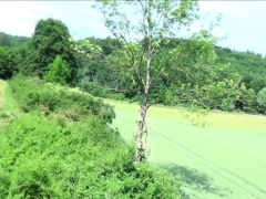 Mamada, Corridas, Estilo perrito, Alemán, Hd, Al aire libre, Pov, Público