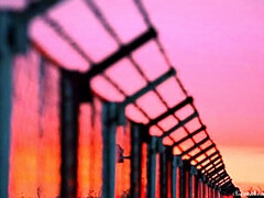 Grosse titten, Blondine, Fetisch, Hd, Lesbisch, Milf