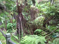 Negro, Novia, Al aire libre, Pov, Público, Coño, Afeitado, Tetas