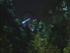 Садо мазо, Фетиш, Японки