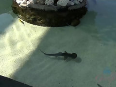 Любители, Большие сиськи, Подружка, От первого лица, Киски, Бритые, Тощие, Высокие