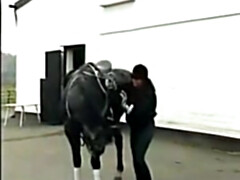 Анальный секс, Европейки, Милф, Оргии, Чулки, Молоденькие, Винтаж