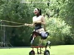 Pony Girls In Training: Hardcore, Fetish Bondage Porn