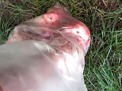 Sadomasoquismo, Mamada, Fetiche, Peludo, Sexo duro, Pov, Sexo fuerte