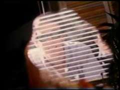 Double pénétration