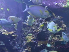 Leie, Strand, Fingern, Freundin, Im freien, Pov, Dürr, Titten