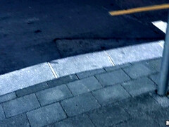 Enthousiasteling, Bruinharig, Europees, Italiaans, Likken, Openbaar, Kut duiken, Student