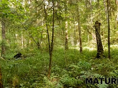 Beauté, Mamie, Hd, Mature, Chatte, Rousse roux, Sauna, Rasée