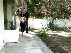 Amateur, Tetas grandes, Mamada, Corridas, Polla, Pajear, Interracial, Adolescente