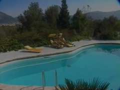 Межрасовый секс, Порнозвезда