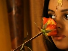 Addicted To Exotic Lust