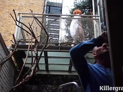 アナル, デカ尻, デカチン, フェラチオ, 茶髪の, 巨乳な, 熟年, 淫乱熟女