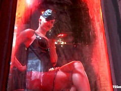 Grosser schwanz, Grosse titten, Vollbusig, Schwanz, Hd, Riesig, Transfrau, Titten