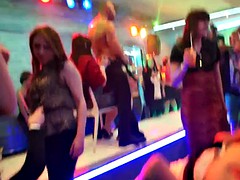 Amateur, Chica, Belleza, Europeo, Grupo, Fiesta