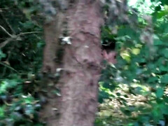 full porn movie italian