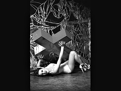 Sadomasoquismo, Suizo