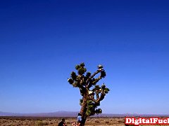 Gros seins, Sucer une bite, Brunette brune, Femme couguar, Mère que j'aimerais baiser, Réalité