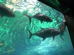 Amateur, Playa, Negro, Ébano, Novia, Masturbación, Fumando, Tetas