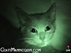 Amateur, Corridas, Adolescente