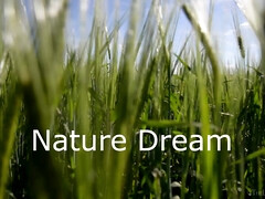 На природе, Соло