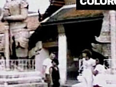 Escort's travelling video by Color Climax