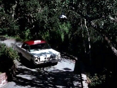 ブロンド, イく瞬間, ハードコア, 異人種間, 淫乱熟女, オージー, 三人, ヴィンテージ