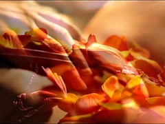 Masturbación, Madres para coger, Esposa