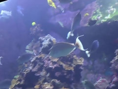 Amateur, Penetracion con dedos, Despelote, Novia, Pajear, Orgasmo, Al aire libre, Público