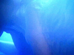 素人, デカパイ, ブロンド, フェラチオ, 手コキする, Hd, アウトドア, ヴィンテージ