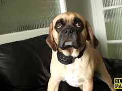 イギリス人, 浮気する, バック, Hd, 下着, ピアス, スパンキング, タトゥー