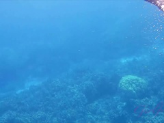素人, ビキニ, 露出狂, キッチン, オーガズム, ハメ撮り, オマンコ, オッパイの