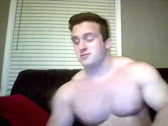 Europees, Spier, Alleen