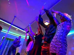 Любители, Европейки, Группа