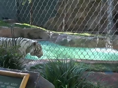 Salle de bains, Talons, Culottes ou slips, Piercing, Pov, Rasée, Fumer, Nénés