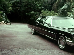 Kont, Grote kont, Grote mammen, Blond, Pijpbeurt, Hardcore, Tieten likken, Oud