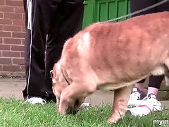 Verga grande, Tetas grandes, Mamada, Penetracion con dedos, Pajear, Madres para coger, Mamá, Coño