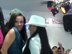 Nana, Dingue, Érotique, Branlette thaïlandaise, Hard, Orgie, Fête, Nénés