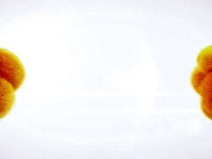 Красотки, Толстушки, Большая жопа, Фетиш, Натуральные сиськи, Писсинг, Соло, Сиськи