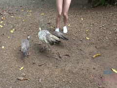 彼女, オーガズム, 小柄, 公共, 剃毛, ガリガリ, 喫煙, 濡れ