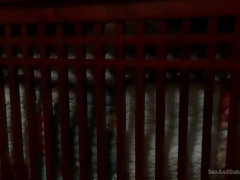 Минет, Бондаж, Брюнетки, Доминирование, Милф, Наказание, Жесткий секс, Тату