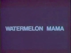 Classic Vintage Retro - Diamondclip - Watermelon Mam