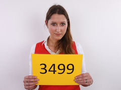 CZECH CASTING - MICHAELA (3499)
