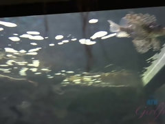 Любители, Ванна, Блондинки, Грязь, Куколка, Платье, Пальцем, Подружка