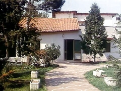 Culo grande, Tetas grandes, Rubia, Mamada, Polla, Madres para coger, Coño, Clasico