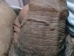 Enthousiasteling, Grote lul, Pijpbeurt, Gevangen, Handbeurt, Stiefmoeder, Tatoeage, Tieten likken