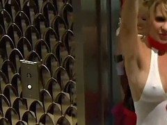 美女, フェラチオ, グループ, 現実, スインガー