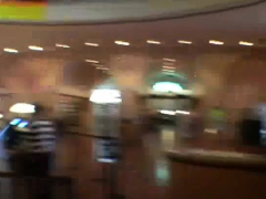 Schlong for a classy Jenni Lee's wet love tunnel